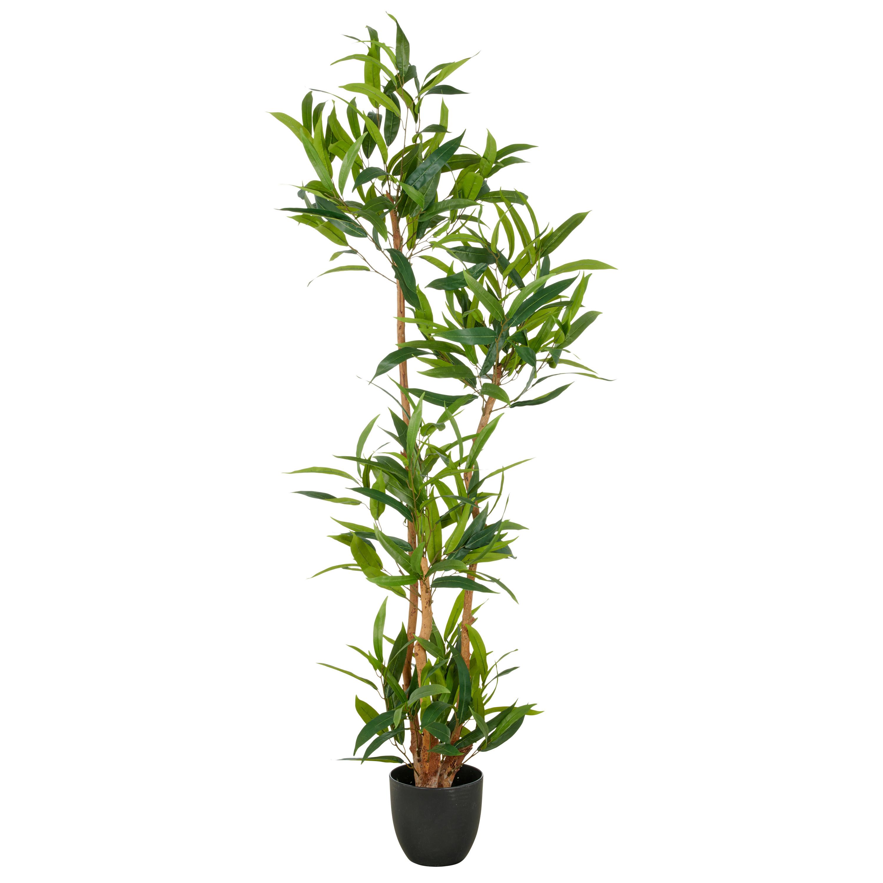 Kunstpflanze Kunststoff, Grün, H: 150 cm - Schwarz/Braun, Basics, Kunststoff (150cm) - P & B