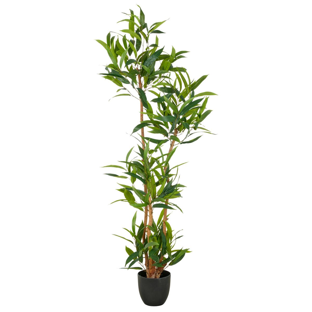 Kunstpflanze Kunststoff, Grün, H: 150 cm - Schwarz/Braun, Basics, Kunststoff (150cm) - P & B