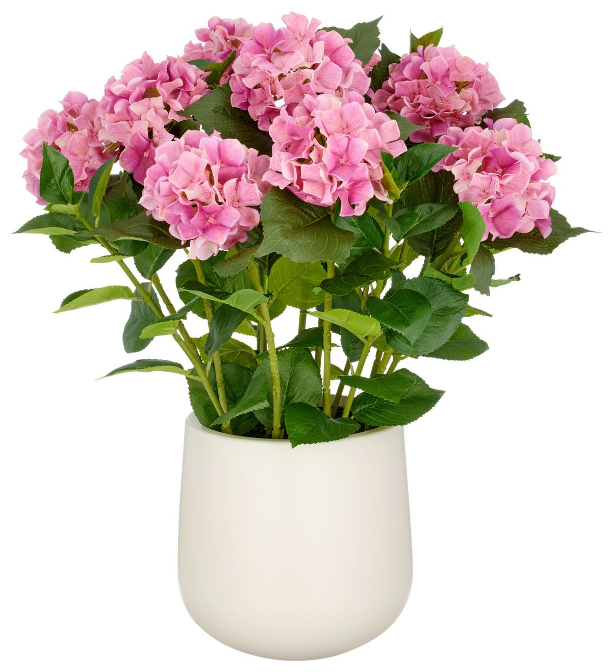 Kunstpflanze Pink Grün Creme B: 27 Cm - Pink/Creme, Basics, Kunststoff (27/77/27cm)