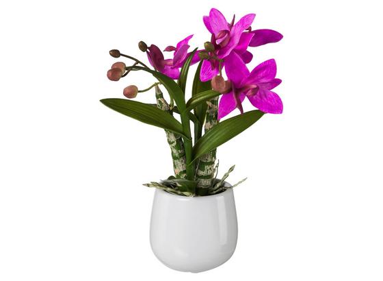 Umelá Rastlina Japonská Orchidea - pink/zelená, Basics, plast (32cm) Umelá Rastlina Japonská Orchidea - pink/zelená, Basics, plast (32cm)