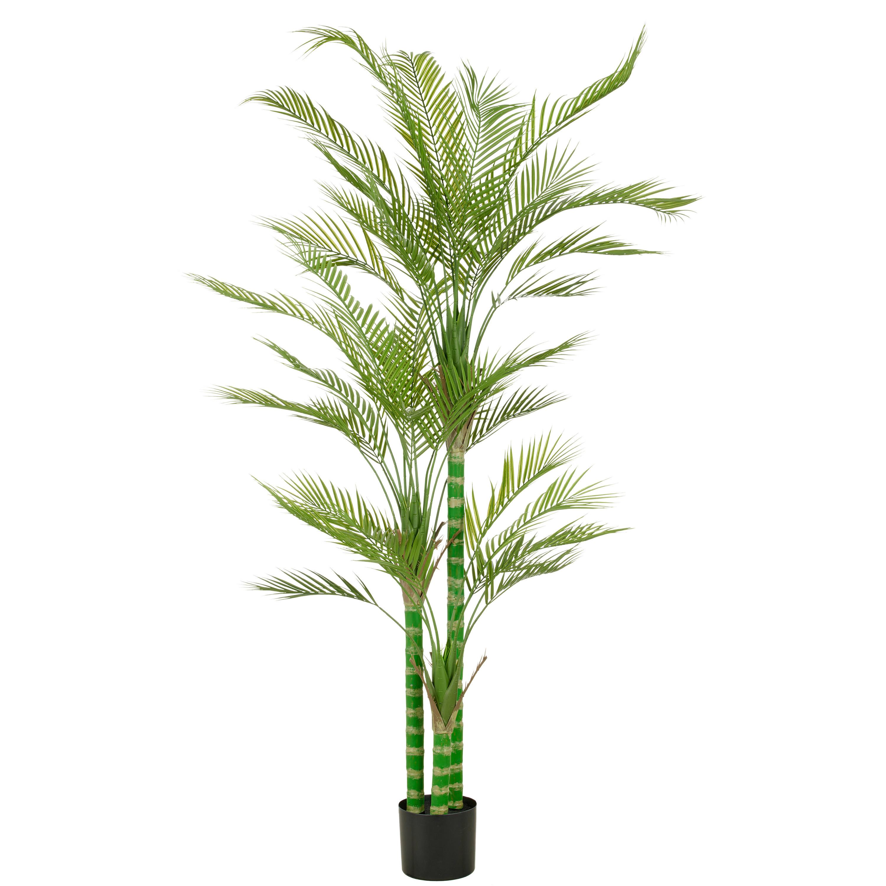 Kunstpflanze Arecapalme Kunststoff, Grün, H: 180 cm - Schwarz/Grün, Basics, Kunststoff (180cm) - P & B