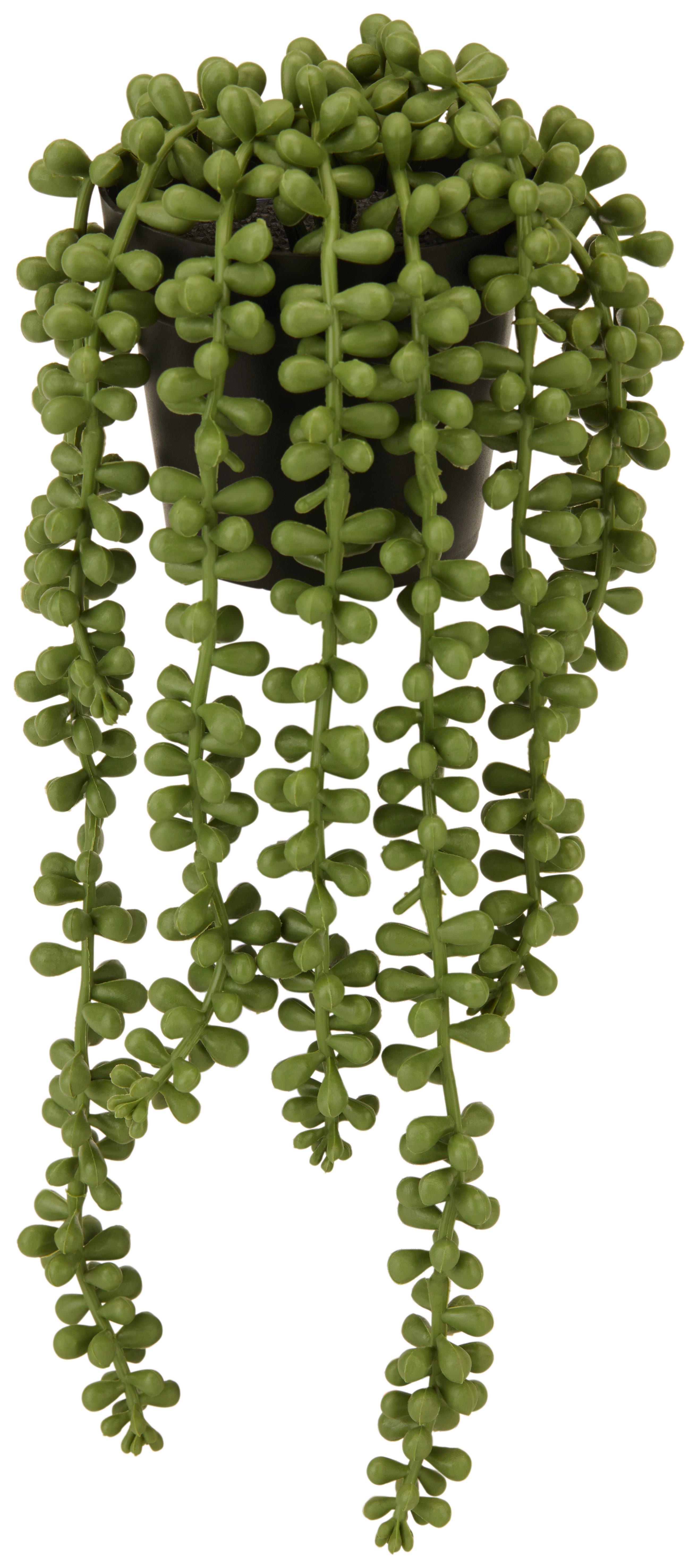 Kunstpflanze Sedumhänger Grün L: 34 cm, Casimir - Schwarz/Grün, Basics, Kunststoff (34cm) - Ondega