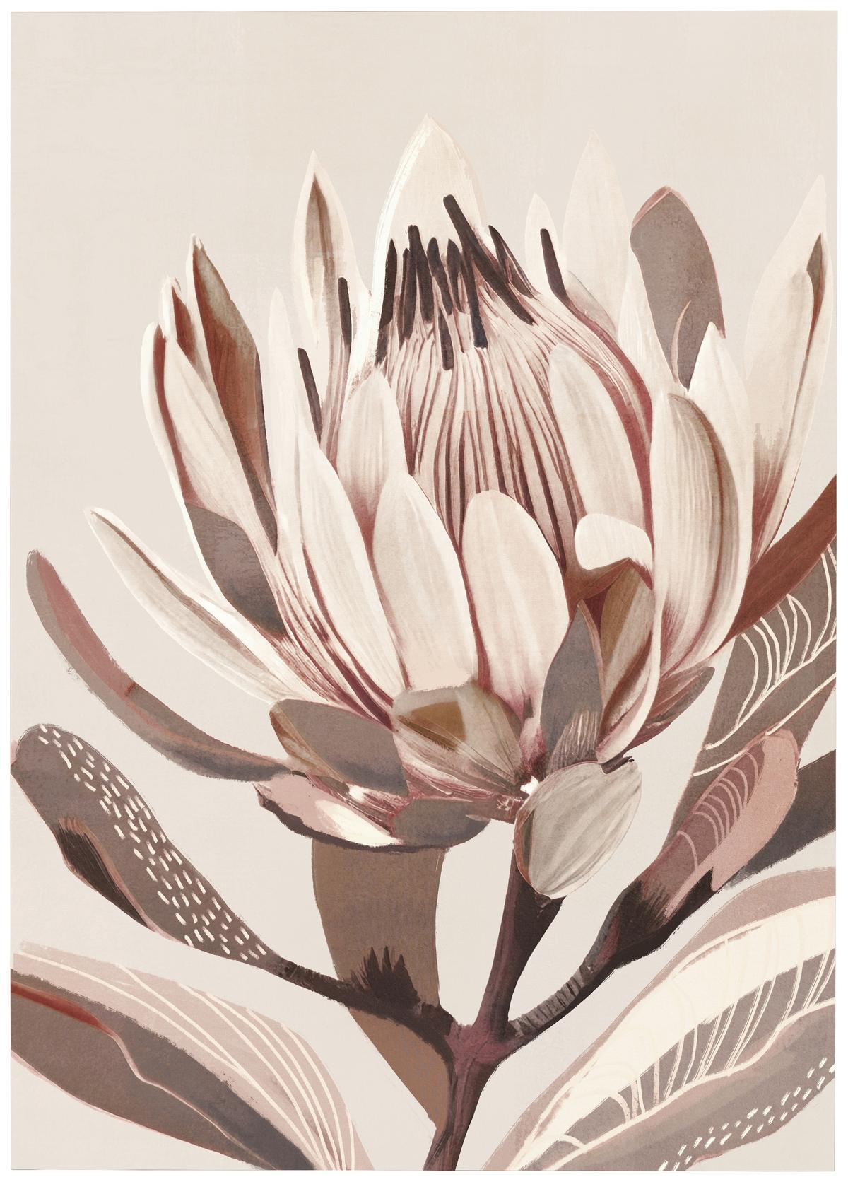 Obraz na plátne Denise 100/140cm - prírodná farba/béžová, Modern, drevo/textil (100/140cm) - Premium Living