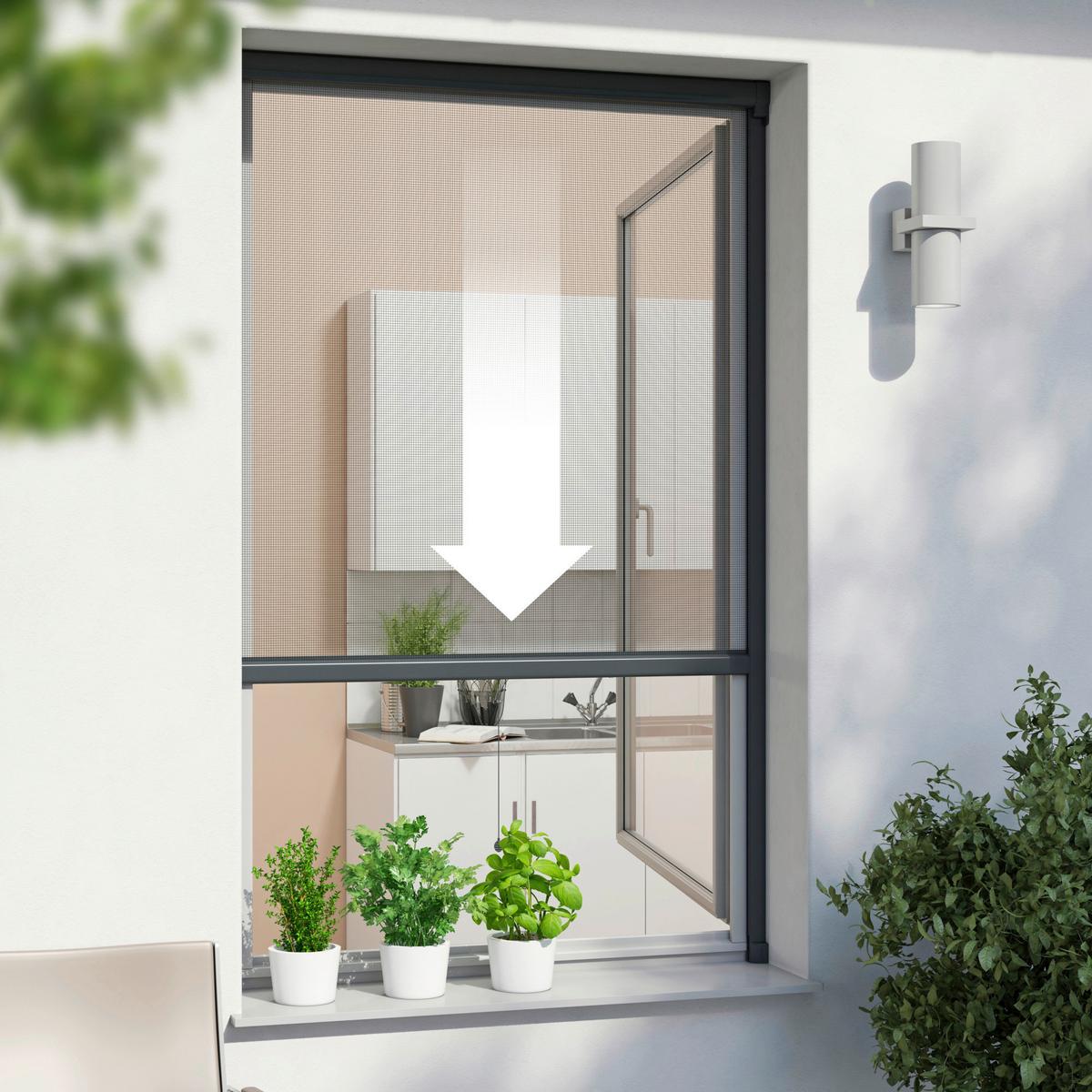 Fliegengitter Fenster 130x160 Cm Anthrazit Ohne Bohren - Anthrazit, Basics (130/160cm)