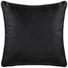 DEKORAČNÍ POLŠTÁŘ Viola, 45/45cm, černá - černá, Konvenční, textil (45/45cm) - Premium Living