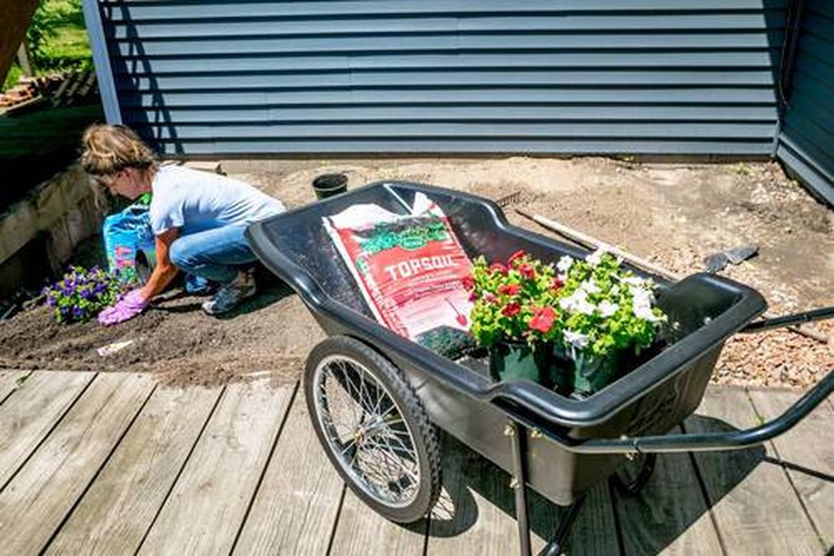 Gartenkarre Premium Schubkarre - Schwarz, Basics, Kunststoff (74/74/165cm)