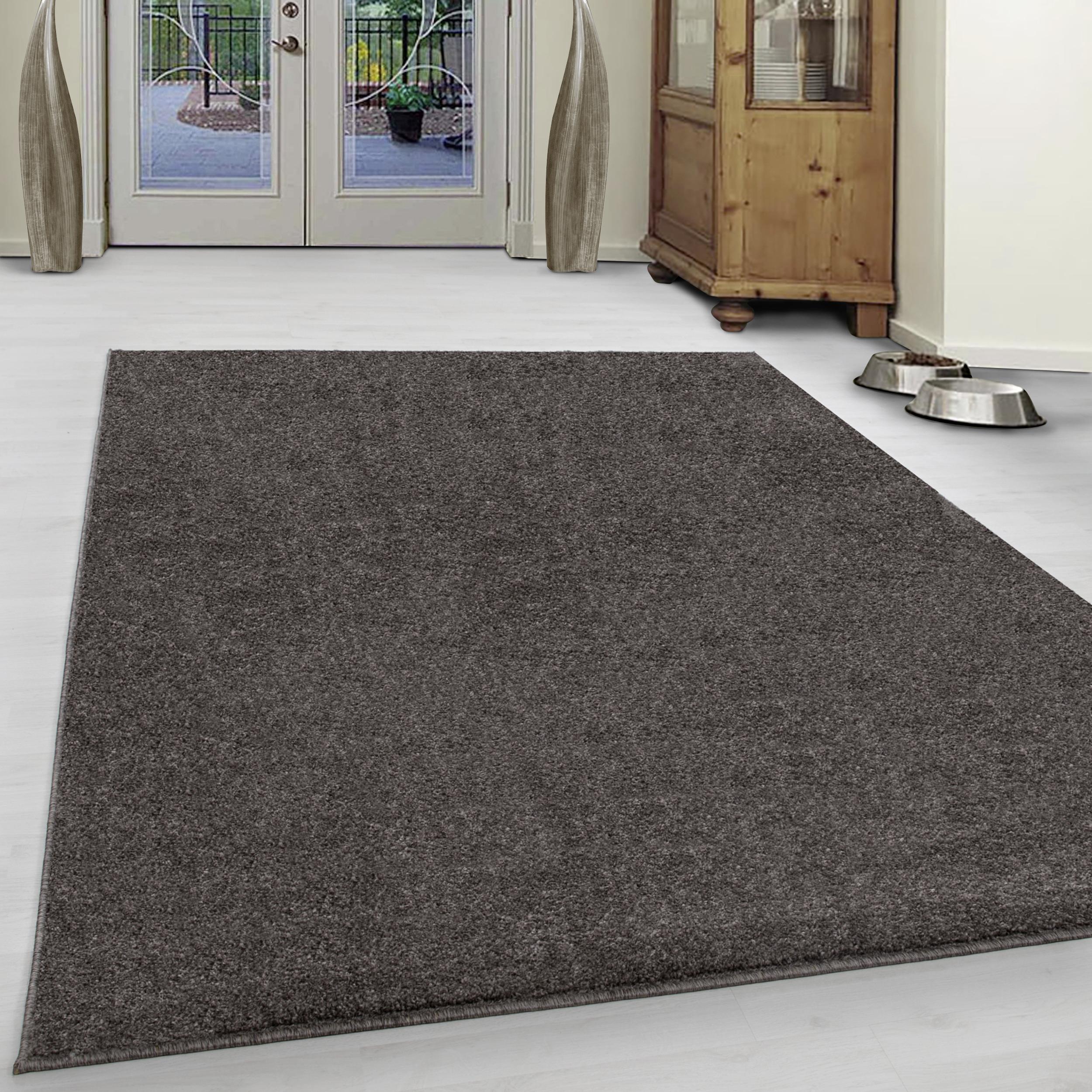 Hochflor Teppich Hellbraun Ata 240x340 cm - Hellbraun, Design, Textil (240/340cm) - Novel