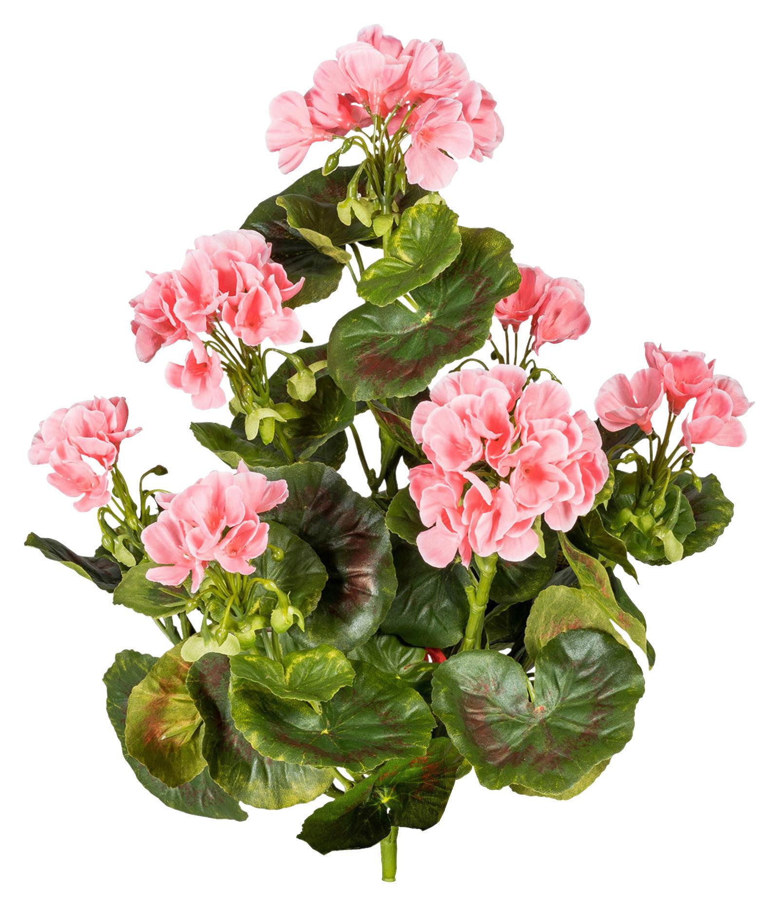 Kunstpflanze Geranie H: 40 cm - Rosa/Grün, Design, Kunststoff (40cm) - P & B