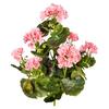Kunstpflanze Geranie H: 40 cm - Rosa/Grün, Design, Kunststoff (40cm) - P & B