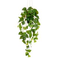 Philodendron Hederaceum Kunststoff, Grün, H: 75 cm - Schwarz/Grün, Basics, Kunststoff (75cm) - P & B