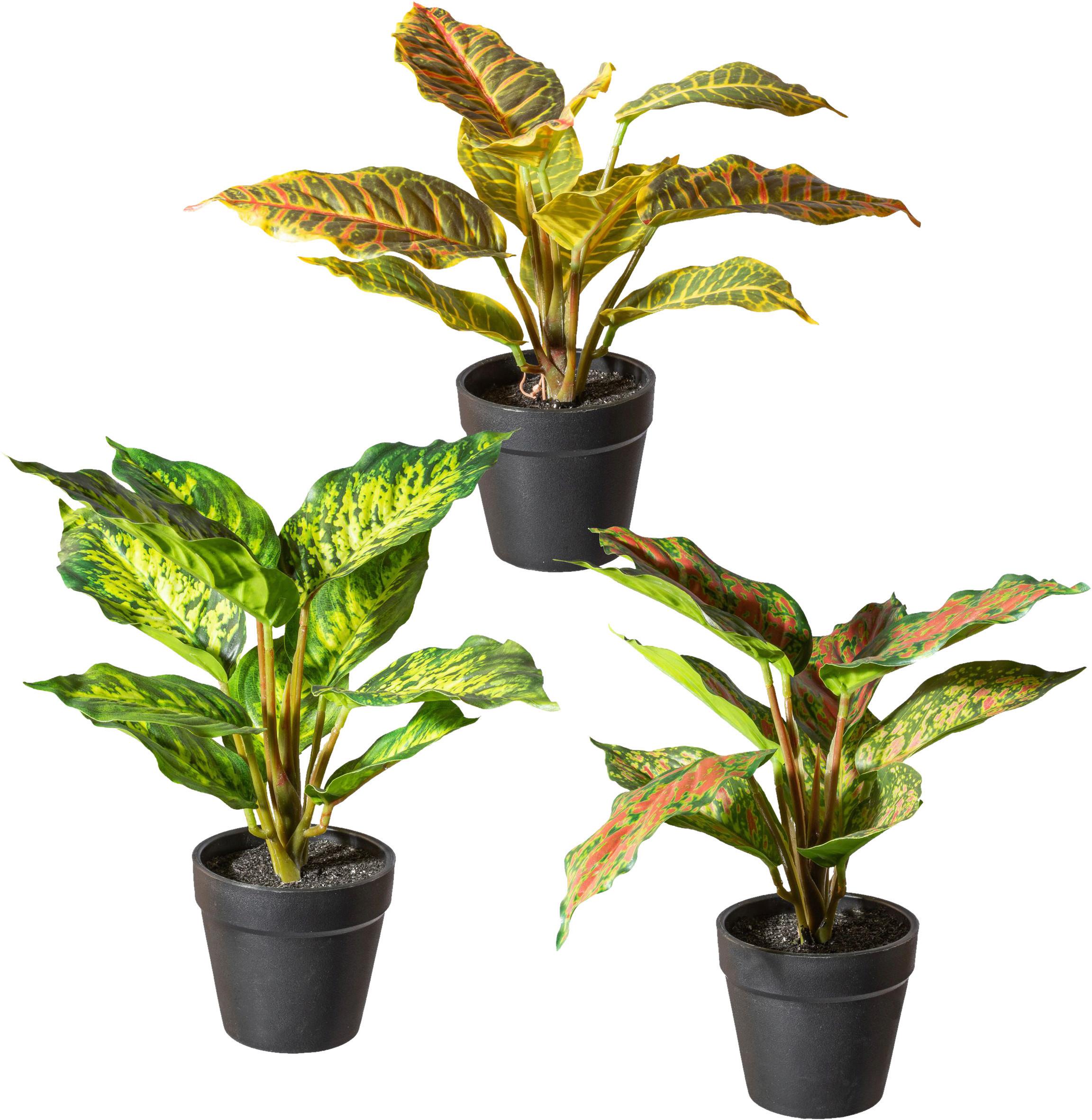 Kunstpflanze H: 25 Cm - Schwarz/Braun, Design, Kunststoff (25cm) - P & B