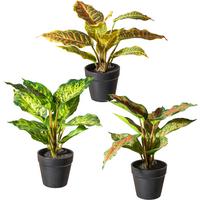 Kunstpflanze H: 25 Cm - Schwarz/Braun, Design, Kunststoff (25cm) - P & B