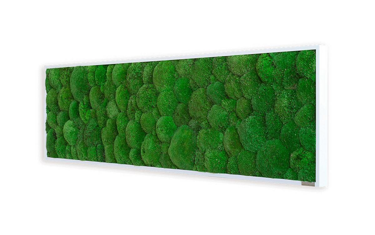 Moosbild Grün B: 140 Cm - Weiß/Grün, Basics, Naturmaterialien/Holz (140/40/7cm)