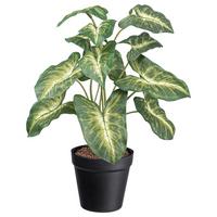 Umělá rostlina V: 38cm - černá/zelená, Basics, plast (38cm) - Modern Living