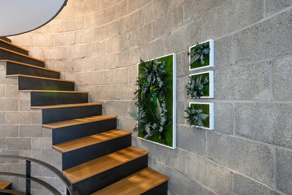 Moosbild Moos Grün B: 22 Cm - Weiß/Grün, Basics, Naturmaterialien/Holz (22/22/15-17cm)