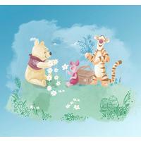 Fototapete Winnie The Pooh Picnic - Multicolor, Trend, Textil (300/280cm)