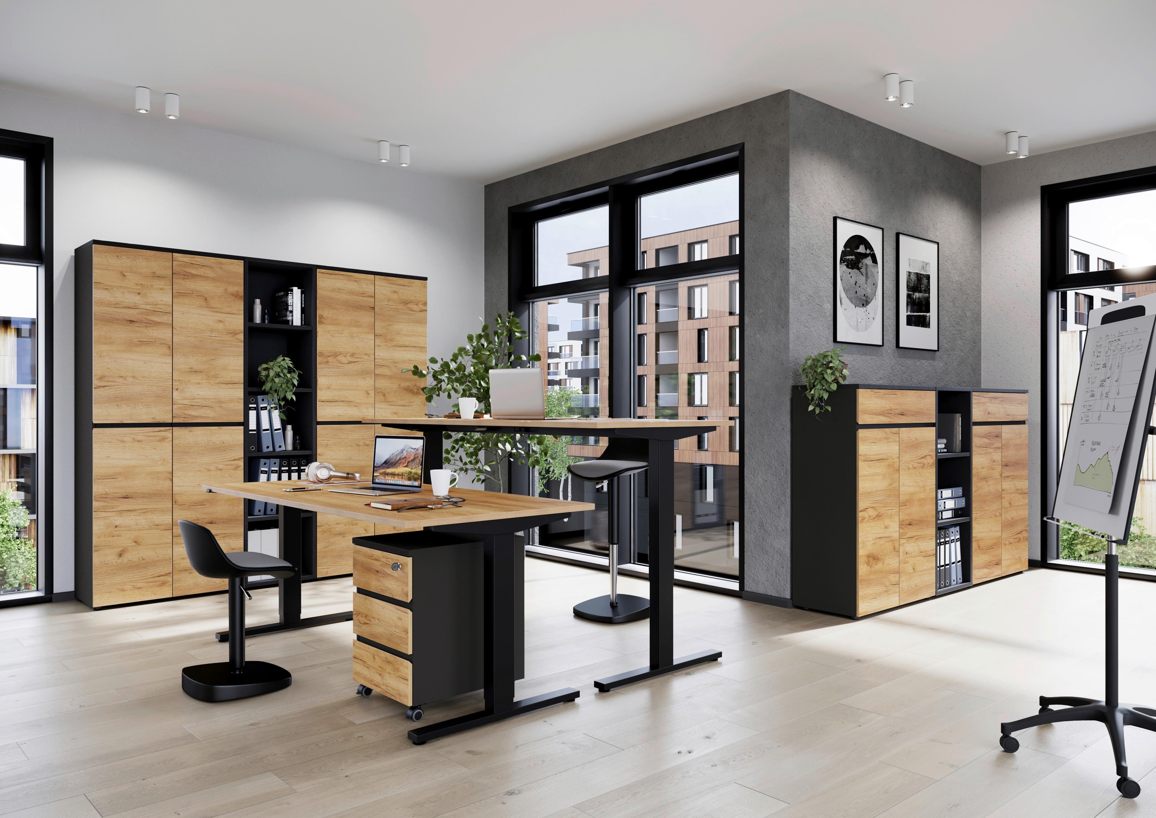 Aktenschrank Lissabon Eichefarben B: 80 cm - Eichefarben/Graphitfarben, MODERN, Holzwerkstoff (80/120/40cm) - Germania