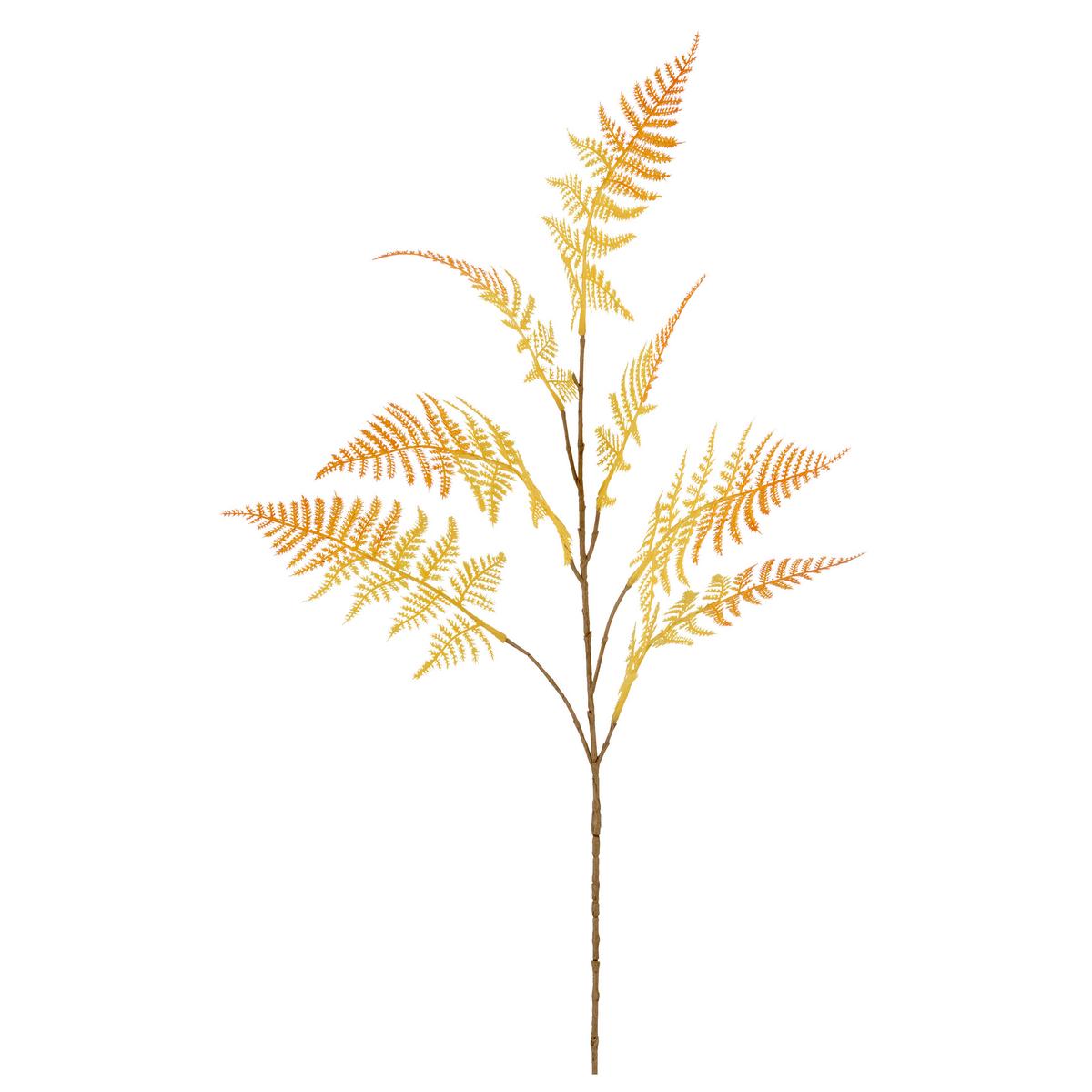 Umelá rastlina PLUMOSUS I -PAZ- - žltá/krémová, Basics, kov/plast (80cm) - Mömax