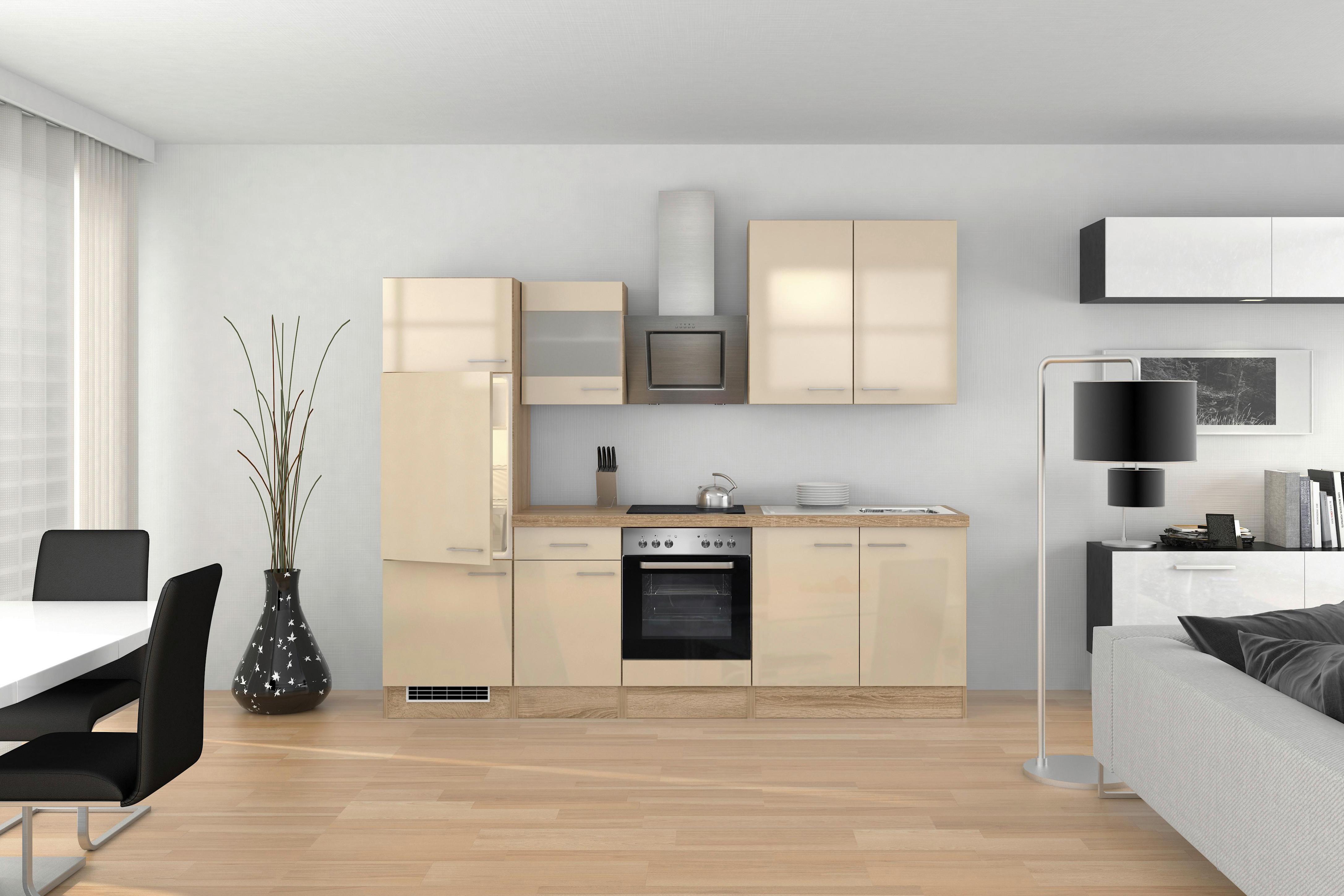 Küchenzeile Nepal Mit Geräten 270 Cm Kaschmir/eiche Dekor - Kaschmir/Sonoma Eiche, MODERN, Glas/Holzwerkstoff (270cm) - FlexWell