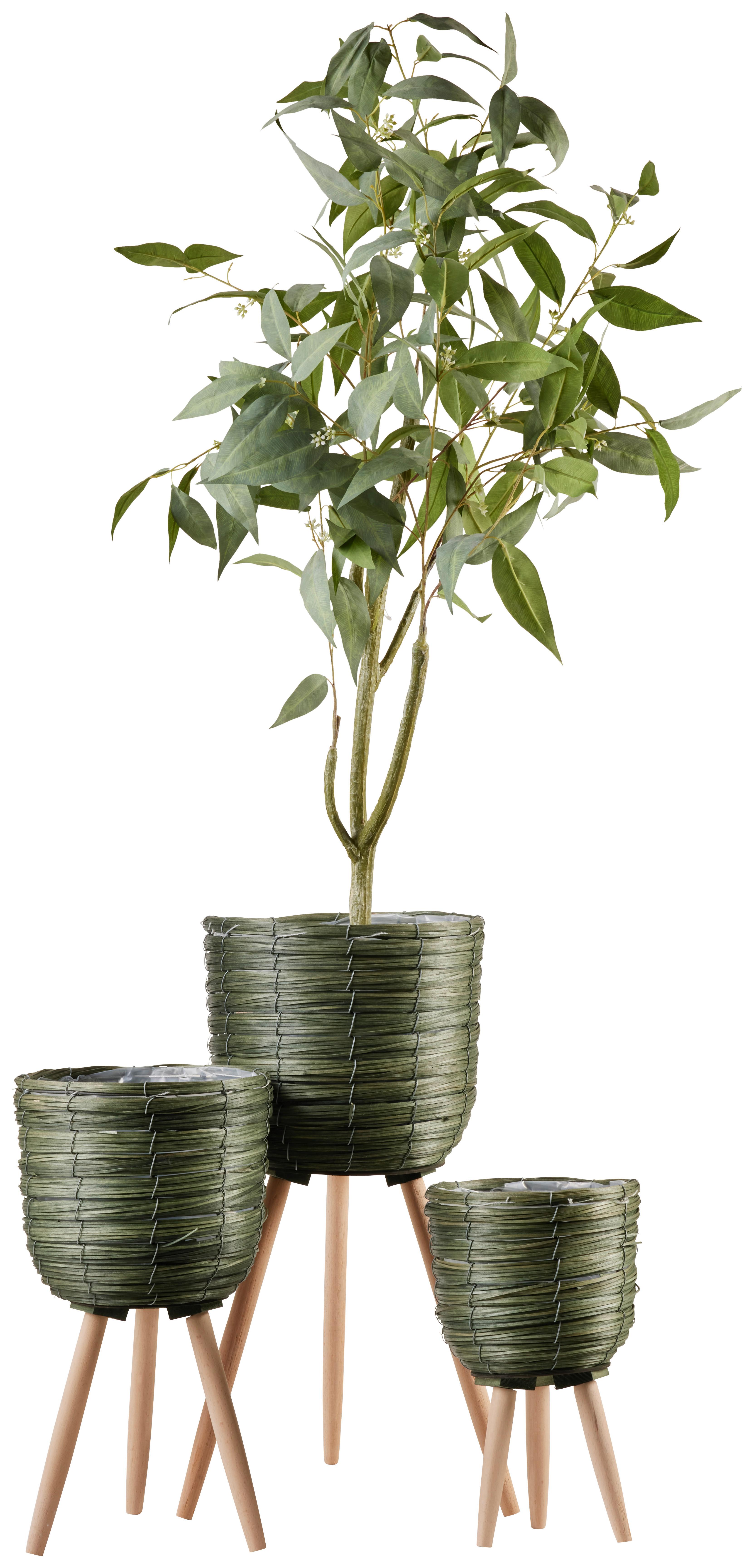 Obal na květináč Jyoti, Ø/V. ca. 24/42cm - přírodní barvy/tmavě zelená, Basics, dřevo (24/42cm) - Modern Living