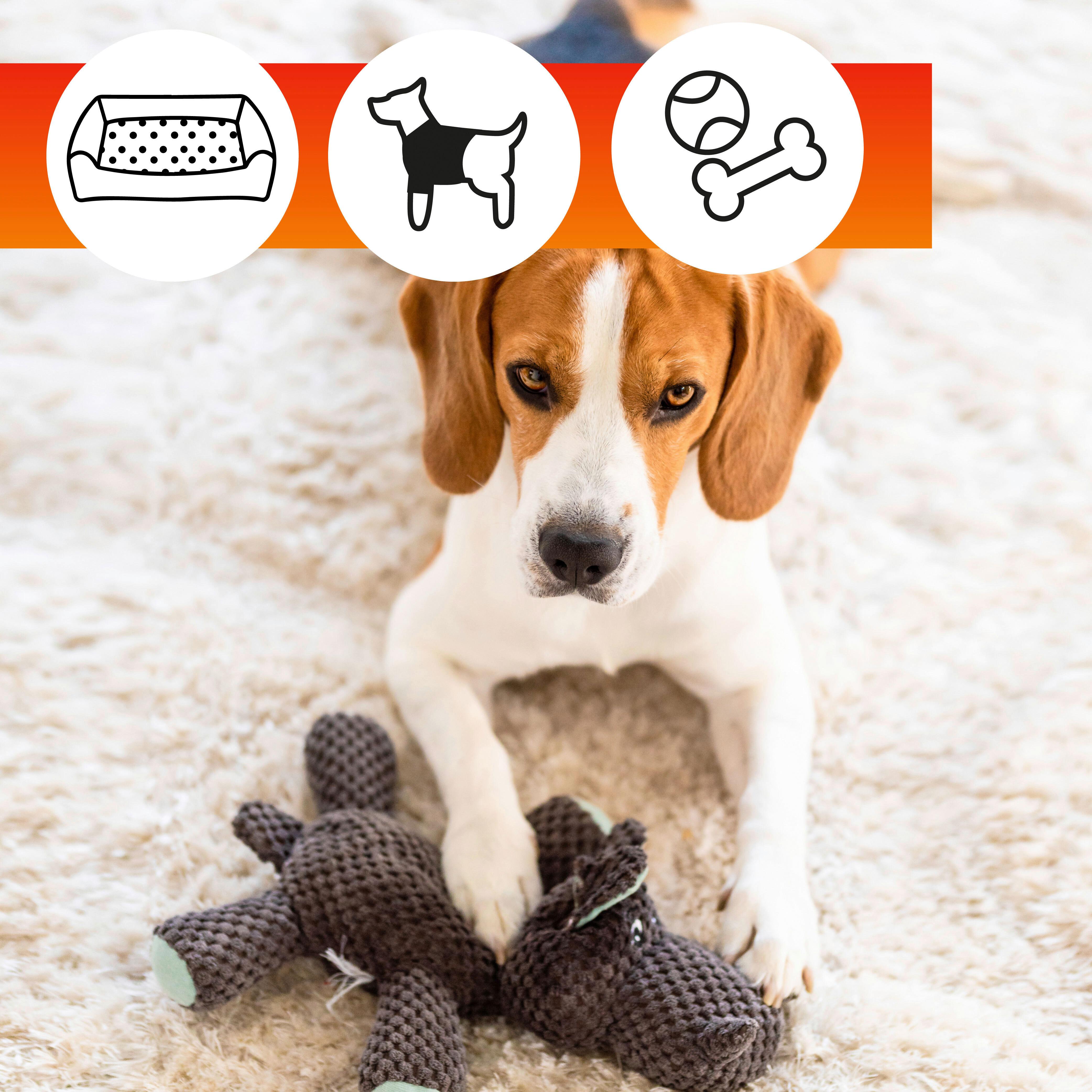 Stoffschutz Oa Pets Set Oa Pets - Basics, Kunststoff (22,5/18,5/8,5cm)