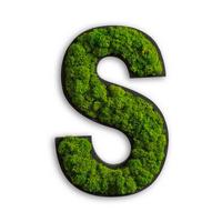 Moosbild Grün B: 26 Cm - Schwarz/Grün, Basics, Naturmaterialien/Holz (26/18/4cm)