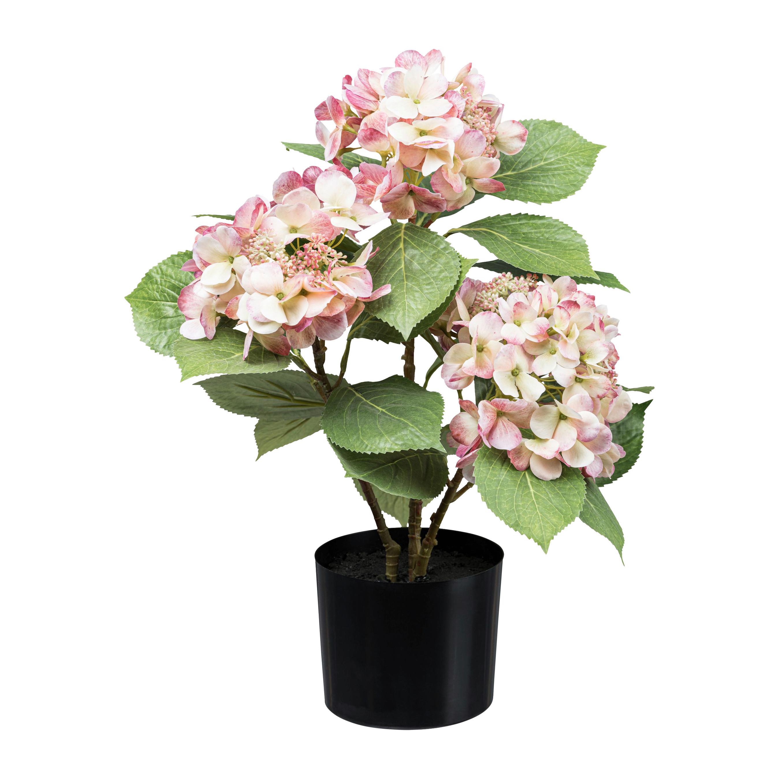 Kunstpflanze Blühpflanzen Creme/Grün/Rosa/Schwarz, 53 cm - Creme/Schwarz, Design, Kunststoff (53cm) - P & B