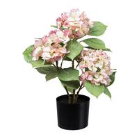 Kunstpflanze Blühpflanzen Creme/grün/rosa/schwarz, 53 Cm - Creme/Schwarz, Design, Kunststoff (53cm) - P & B