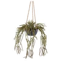 Kunstpflanze Sukkulenten Grün/Grau, 40 cm - Grau/Grün, Design, Kunststoff (40cm)