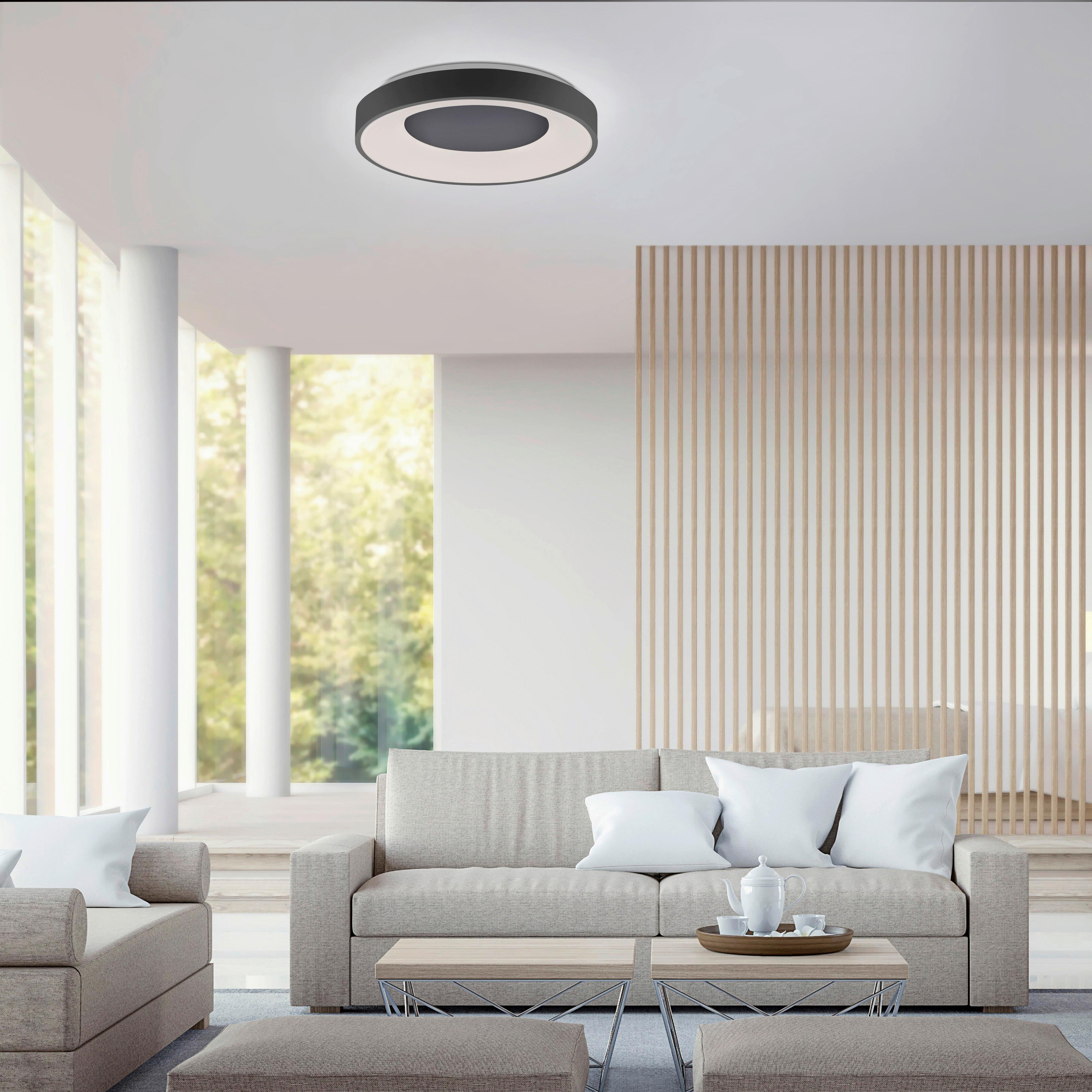 LED-Deckenleuchte Anika Ø 48 cm dimmbar mit Fernbedienung - Anthrazit, Basics, Kunststoff/Metall (48/7,8cm)