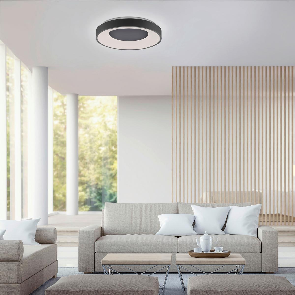 Led-deckenleuchte Anika Ø 48 Cm Dimmbar Mit Fernbedienung - Anthrazit, Basics, Kunststoff/Metall (48/7,8cm)