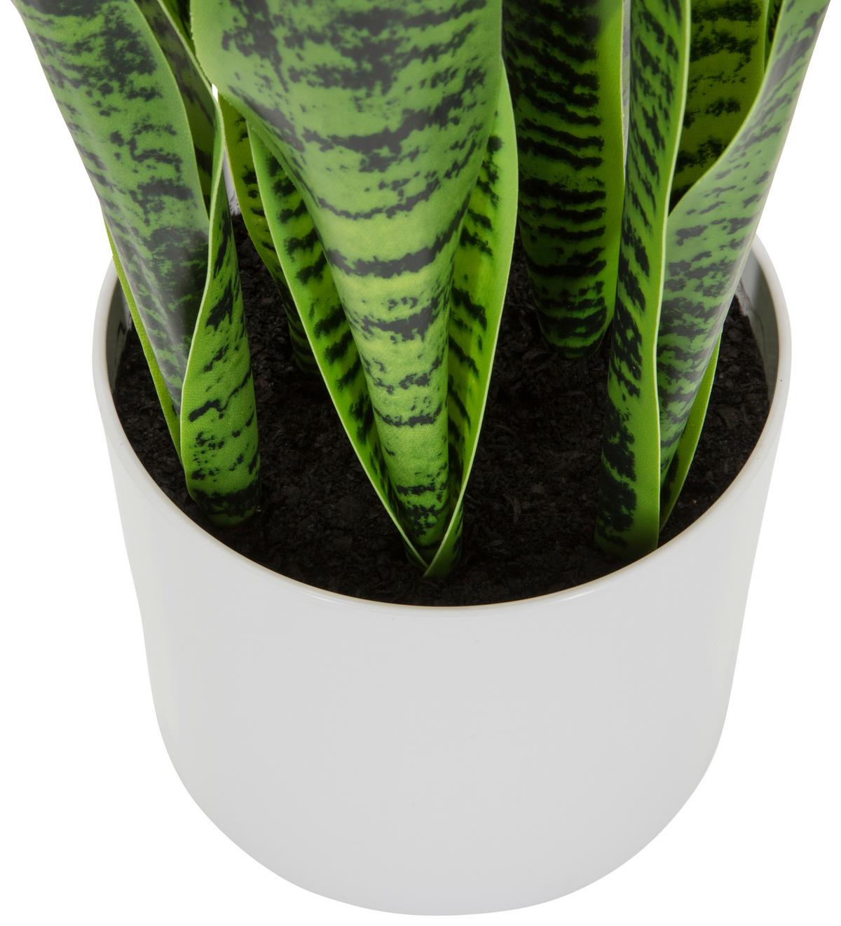 Kunstpflanze Sansevieria - Weiß/Grün, Basics, Kunststoff/Textil (16/65/16cm) - MID.YOU