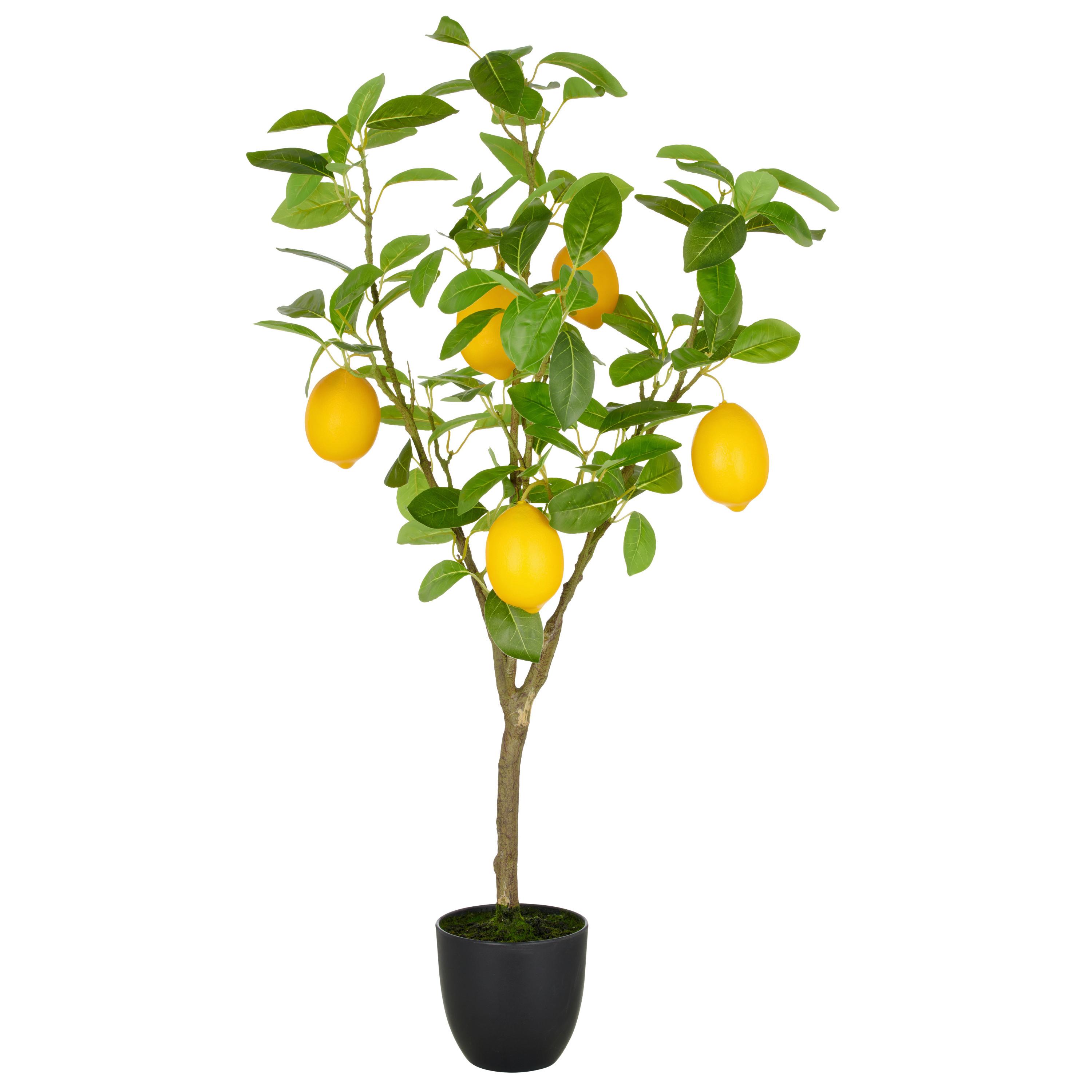 Kunstpflanze Gelb Grün Braun B: 21 cm - Gelb/Braun, Basics, Kunststoff (21/90/21cm)
