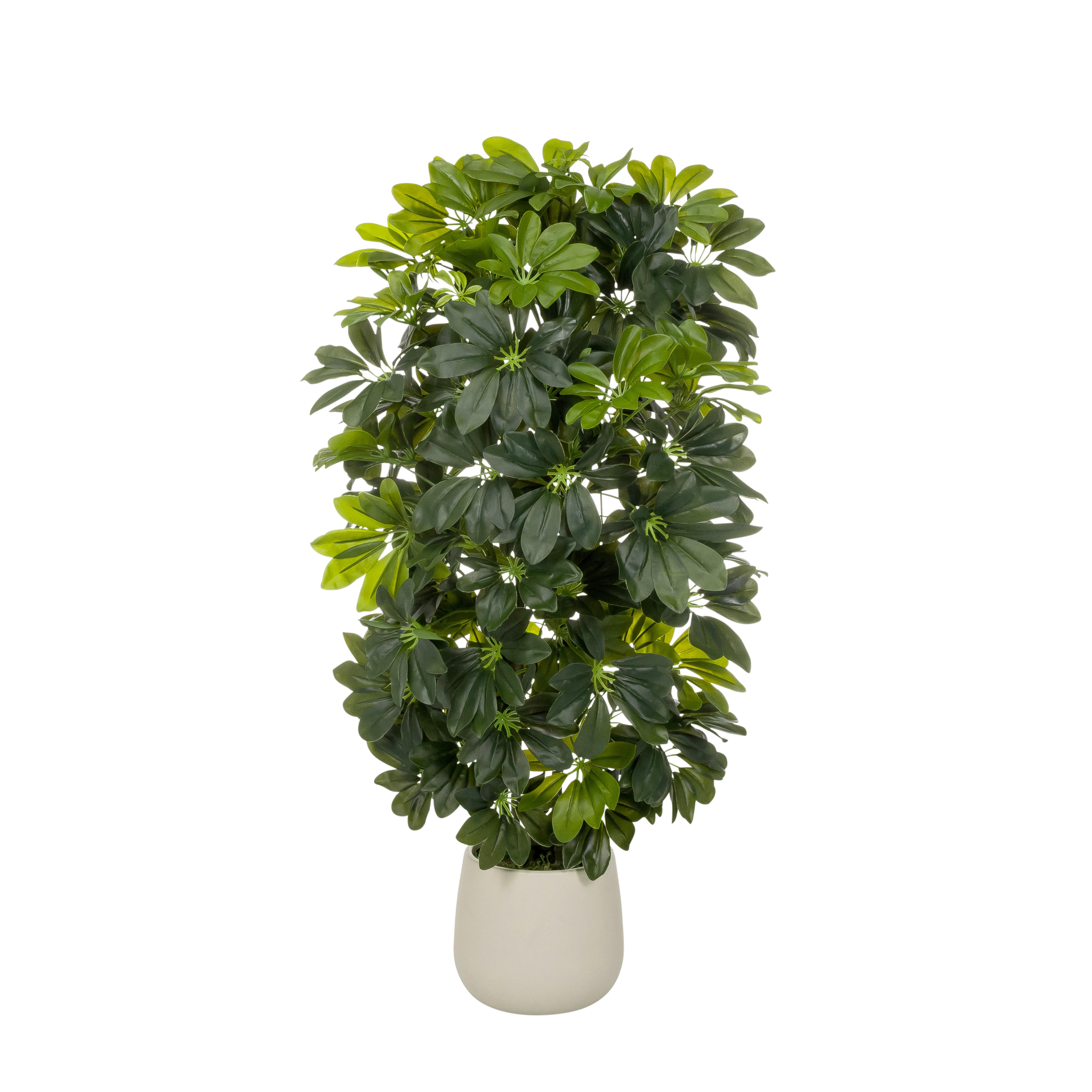 KUNSTPFLANZE Schefflera Grün B: 48cm - Weiß/Grün, MODERN, Kunststoff/Metall (48/110/45cm) - MID.YOU