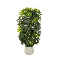 KUNSTPFLANZE Schefflera Grün B: 48cm - Weiß/Grün, MODERN, Kunststoff/Metall (48/110/45cm) - MID.YOU