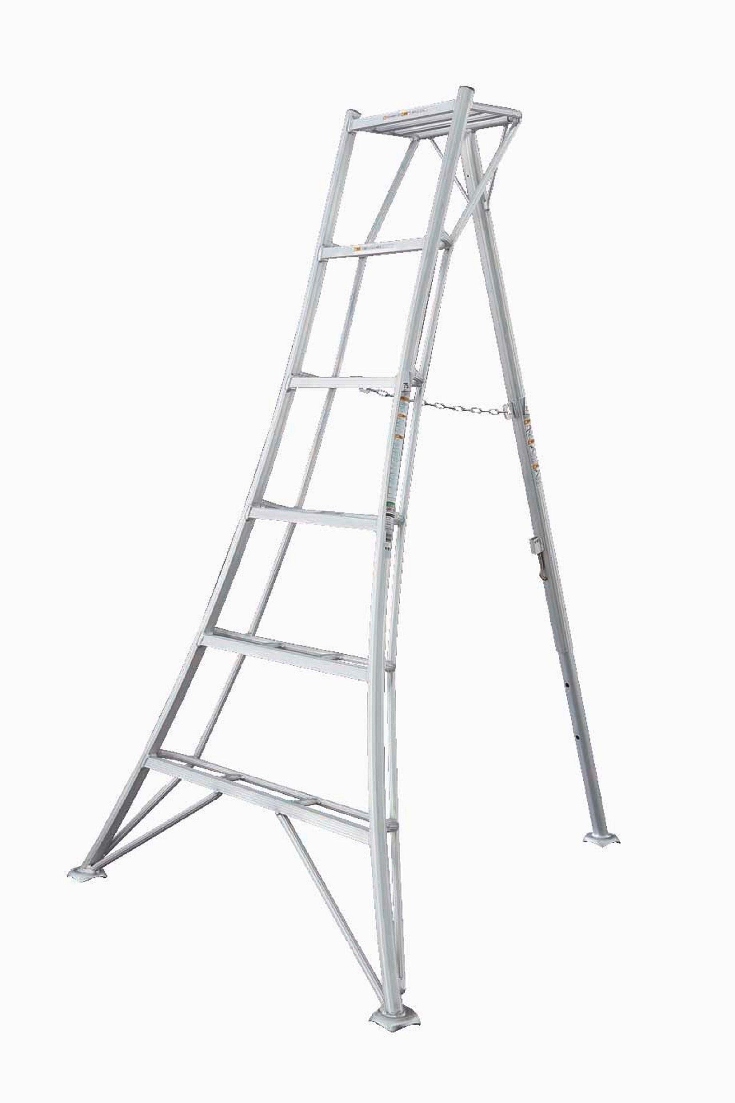 Leiter 3-Holm-Gartenleiter 180cm - Silberfarben, Basics, Metall (125/180/20cm)