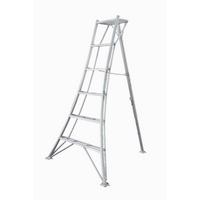 Leiter 3-Holm-Gartenleiter 180cm - Silberfarben, Basics, Metall (125/180/20cm)