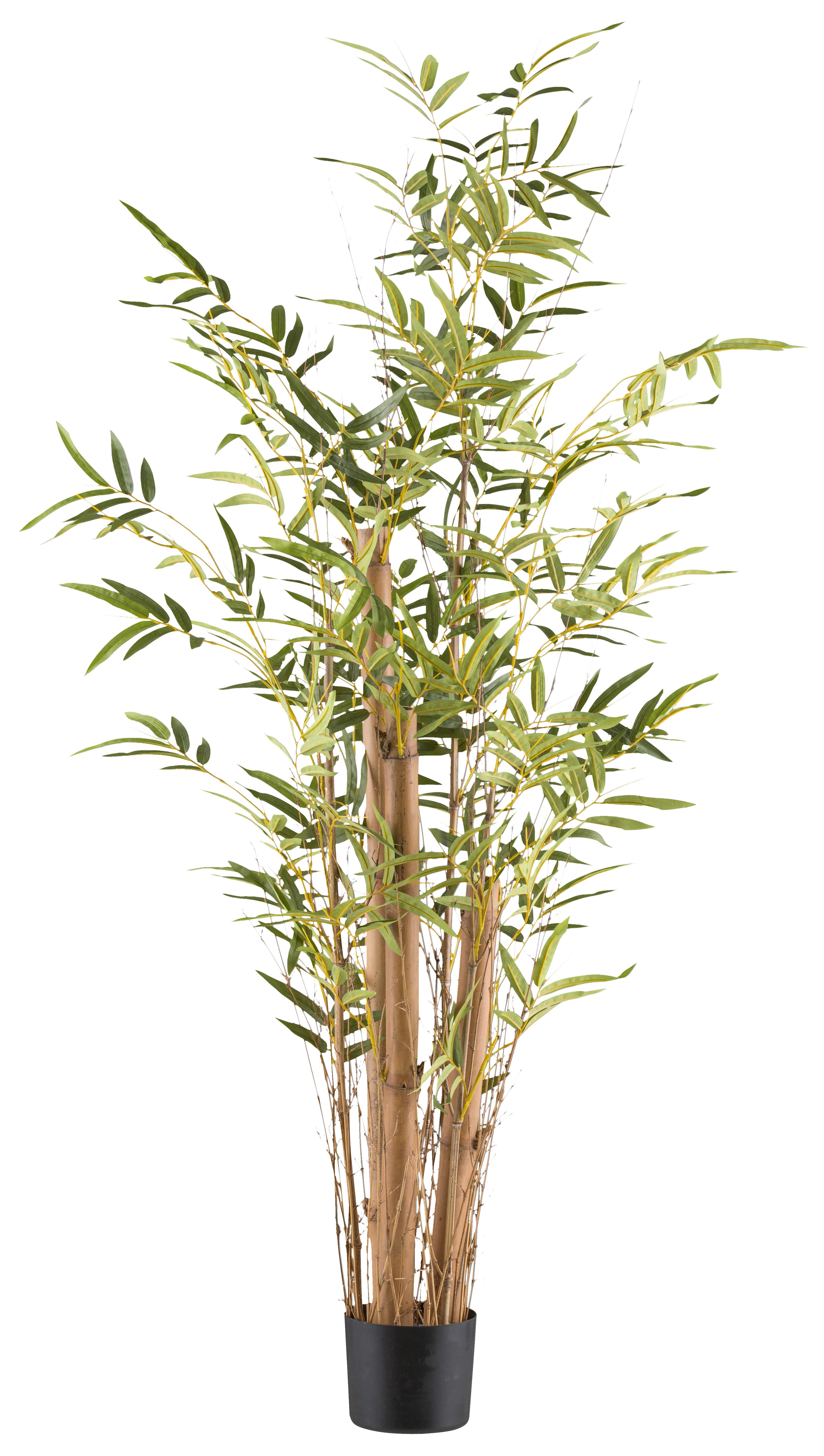 Umelá rastlina Výška 150 cm - hnedá/čierna, Konventionell, plast (150cm)