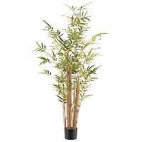 Umelá rastlina Výška 150 cm - hnedá/čierna, Konventionell, plast (150cm)