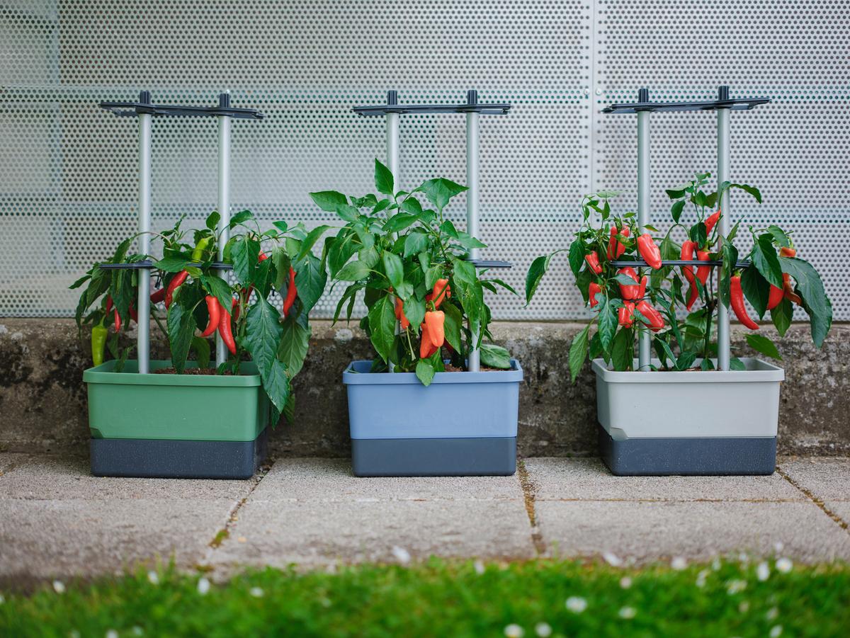 Pflanztopf grau/Hellgrau - Hellgrau/Grau, Basics, Kunststoff (34,5/69/27,5cm) - Gusta Garden