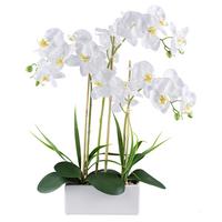 Kunstpflanze Orchideen Grün/Weiß, 58 cm - Weiß/Grün, Design, Keramik/Kunststoff (58cm) - P & B