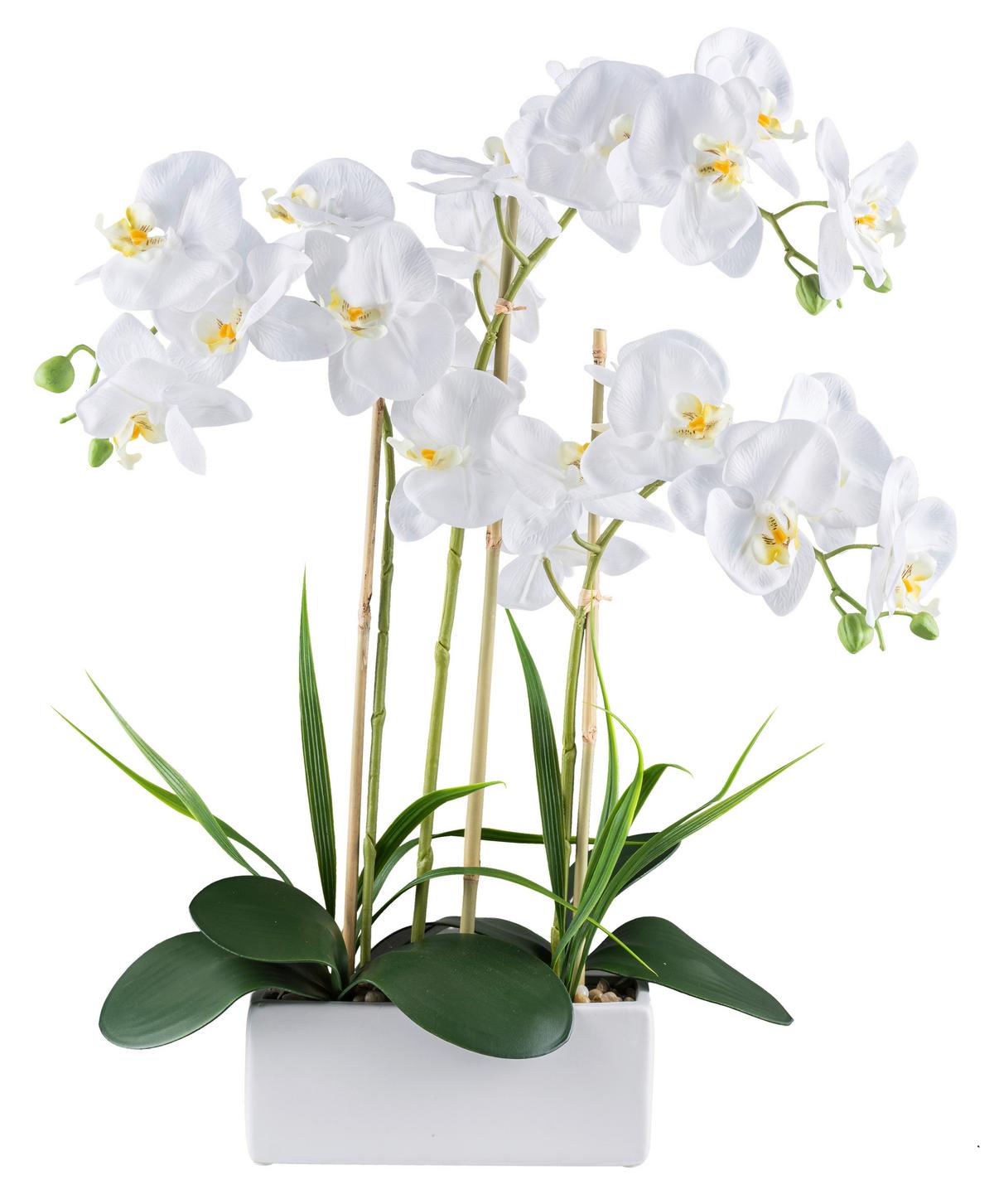 Kunstpflanze Orchideen Grün/Weiß, 58 cm - Weiß/Grün, Design, Keramik/Kunststoff (58cm) - P & B
