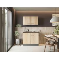 MINIKÜCHE Oliver, Grau Artisan B: 100 cm - Eiche Artisan/Grau, Trend, Holzwerkstoff (100cm) - Respekta