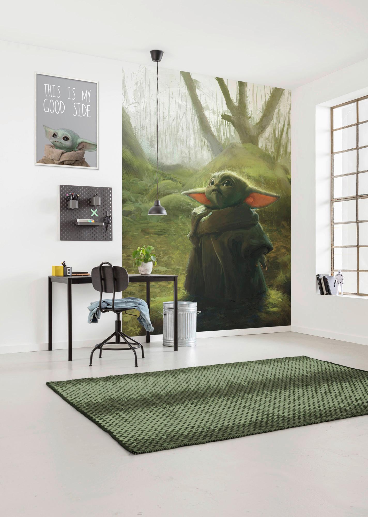 Fototapete Mandalorian Grogu Acrylic - Grün, Trend, Textil (200/280cm)