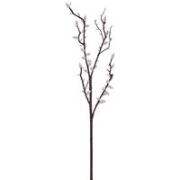 Weidenkätzchenzweig natur, ca. 63 cm - Naturfarben, Basics, Kunststoff (63cm)