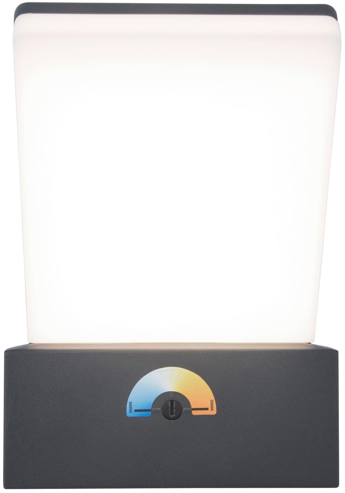 Außenwandleuchte Pano 17,5w Kunststoff Metall, Wandmontage - Anthrazit/Weiß, Basics, Kunststoff/Metall (15/7/24cm)