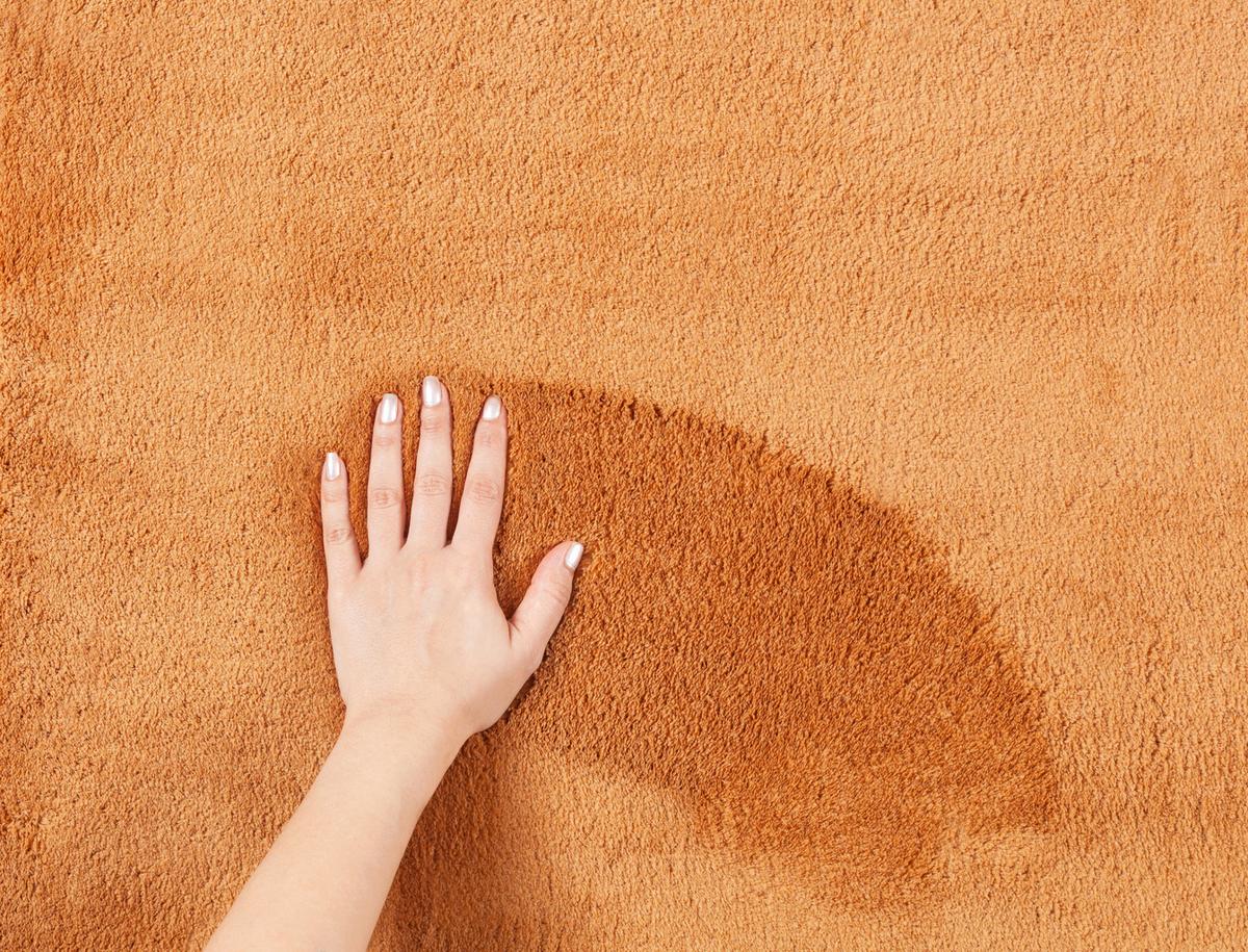 Fellteppich Loft - Terracotta, KONVENTIONELL, Textil (60/110cm)