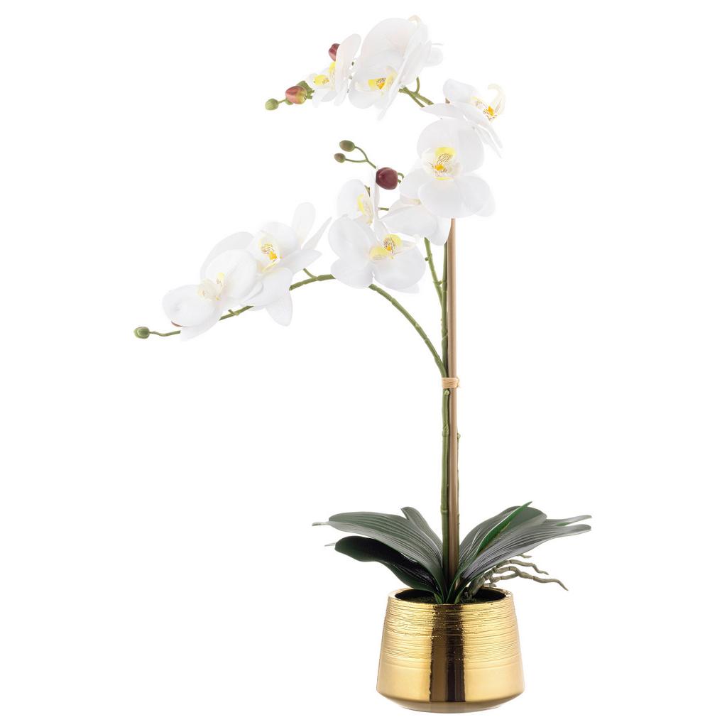 ORCHIDEE MARK