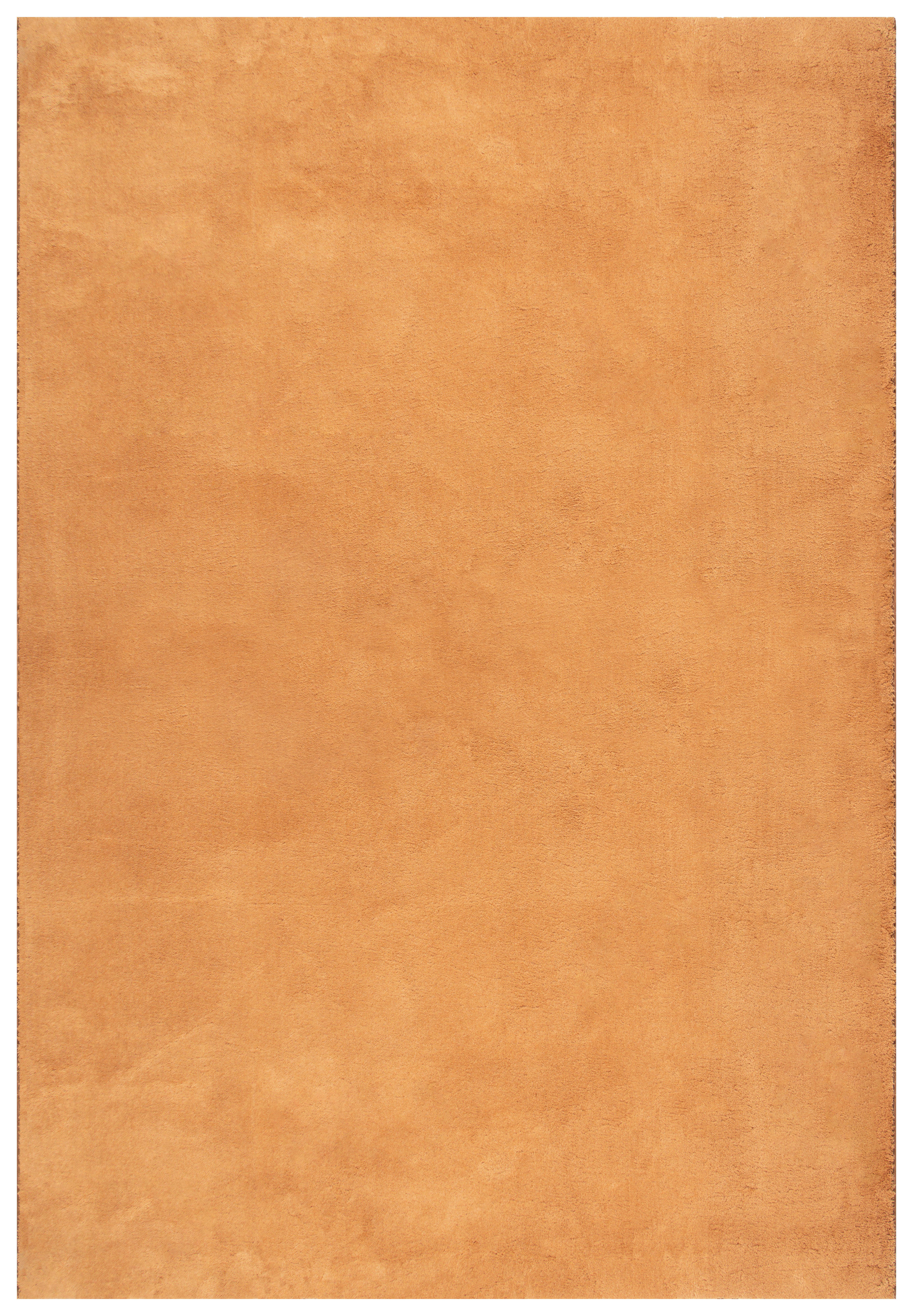Fellteppich Loft - Terracotta, KONVENTIONELL, Textil (60/110cm)