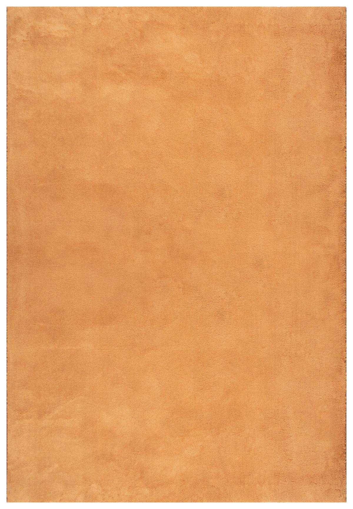 Fellteppich Loft - Terracotta, KONVENTIONELL, Textil (60/110cm)